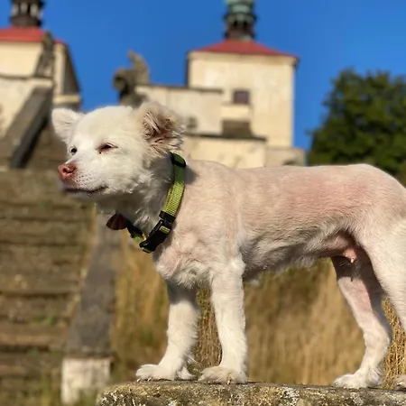 Underhillhouse Libesice